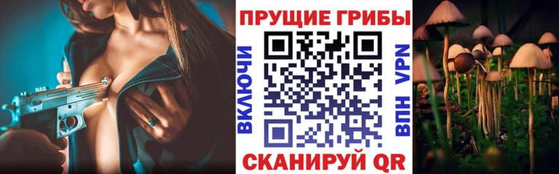 Псилоцибиновые грибы Psilocybe  магазин продажи   Каргат 